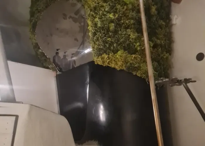 The Of The Gnome Gasthuis *