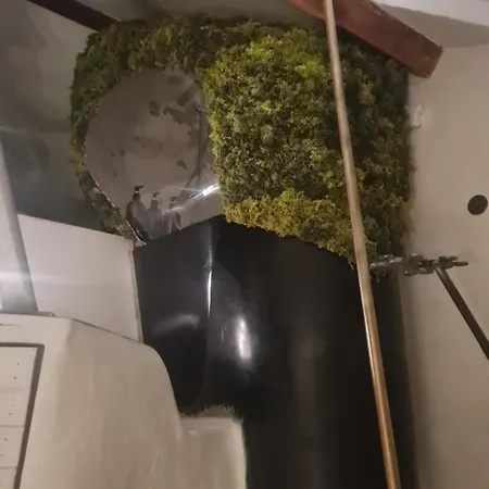 The Of The Gnome Penzion *